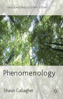 Cover for Phenomenology
            
                Palgrave Philosophy Today