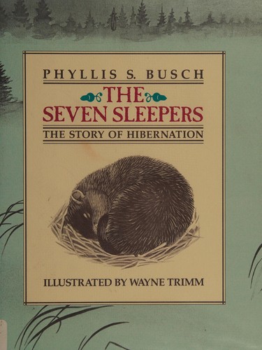 Cover for The seven sleepers