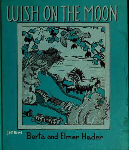 Cover for Wish on the moon