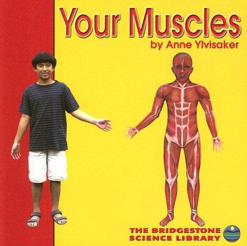 Cover for Your Muscles (Your Body)