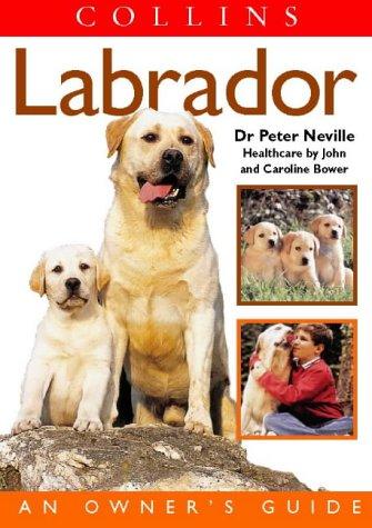 Cover for Labrador