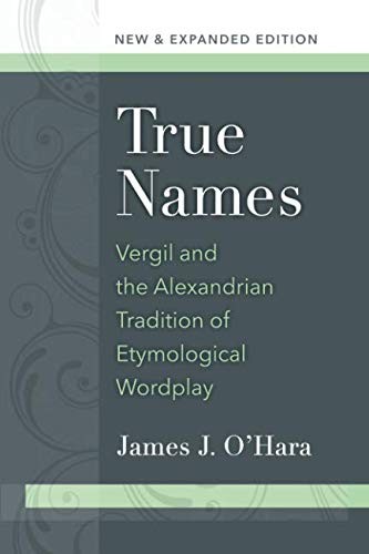 Cover for True Names