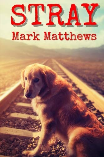Cover for Stray