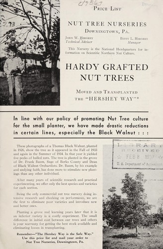 Cover for Hardy grafted nut trees moved and transplanted the Hershey way