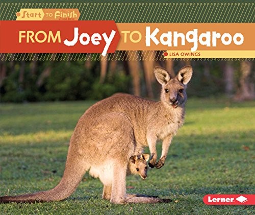 Cover for From Joey to Kangaroo
