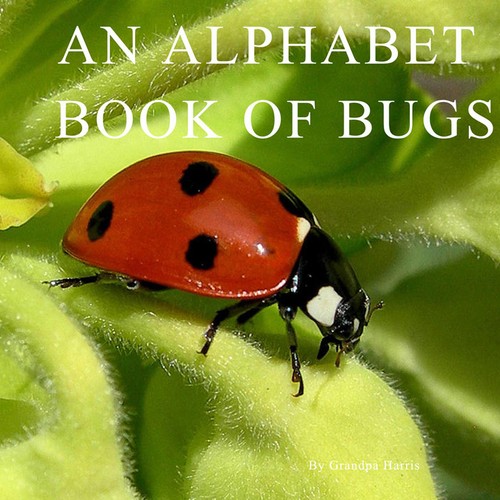 Cover for An Alphabet Book of Bugs