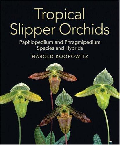 Cover for Tropical Slipper Orchids