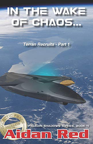 Cover for Paladin Shadows