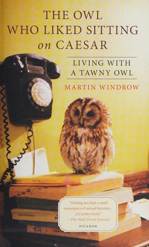 Cover for The owl who liked sitting on Caesar