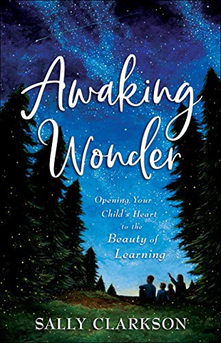 Cover for Awaking Wonder