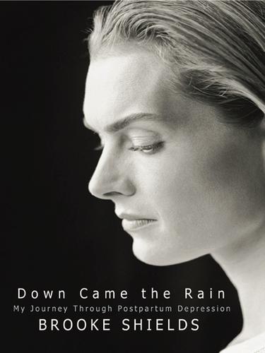Cover for Down Came The Rain