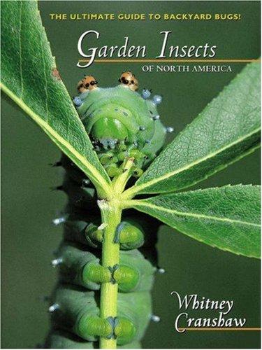 Cover for Garden Insects of North America