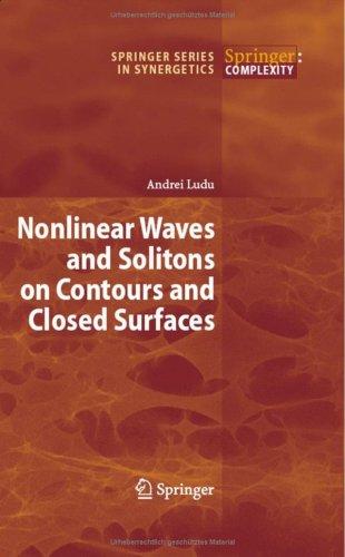 Cover for Nonlinear Waves and Solitons on Contours and Closed Surfaces