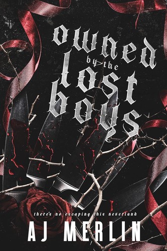 Cover for Owned by the Lost Boys