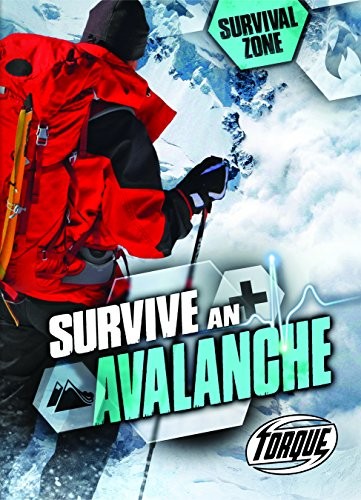 Cover for Survive an Avalanche