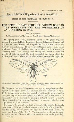 Cover for The spring grain aphis or "green bug" in the Southwest and the possibilities of an outbreak in 1916