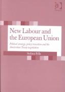 Cover for New Labour and the European Union