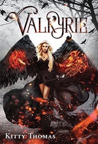 Cover for Valkyrie