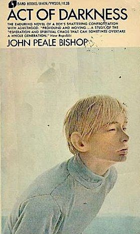 Cover for Act of darkness