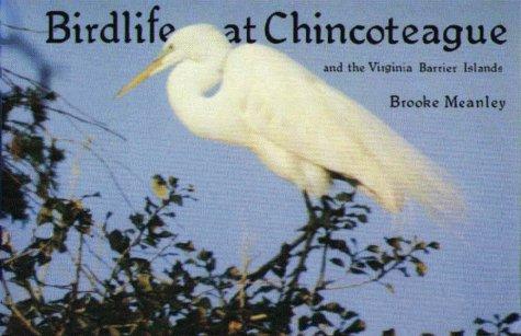 Cover for Bird life at Chincoteague and the Virginia barrier islands