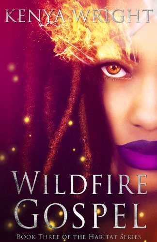 Cover for Wildfire Gospel