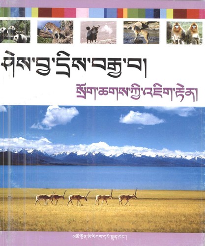 Cover for shes bya dris brgya ba/ srog chags kyi 'jig rten