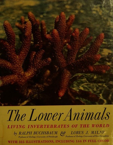 Cover for The lower animals; living invertebrates of the world