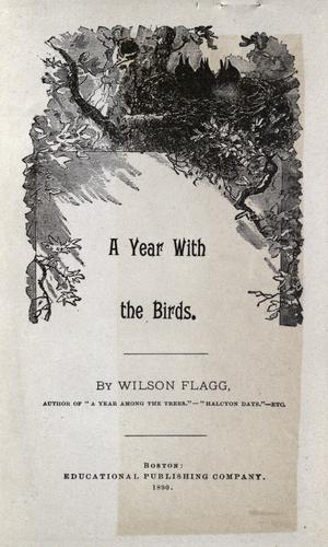 Cover for A year with the birds