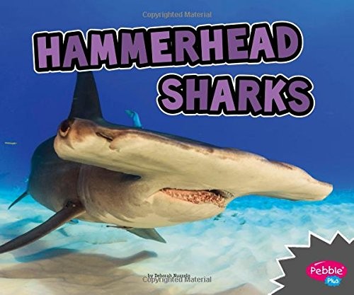 Cover for Hammerhead Sharks
