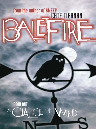 Cover for A Chalice of Wind