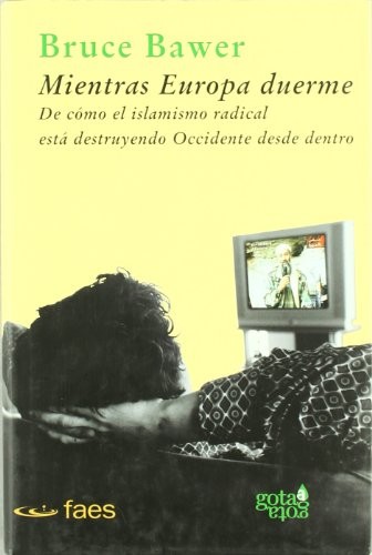 Cover for Mientras Europa duerme