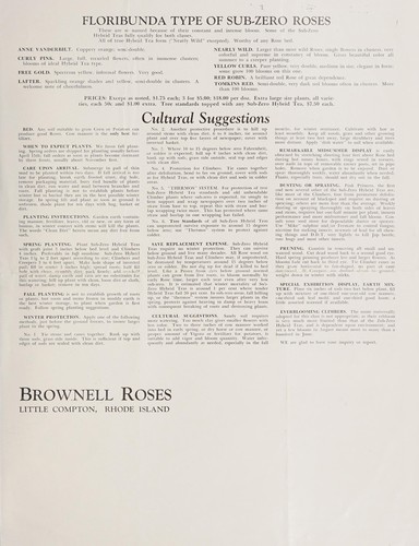 Cover for Brownell rose bushes