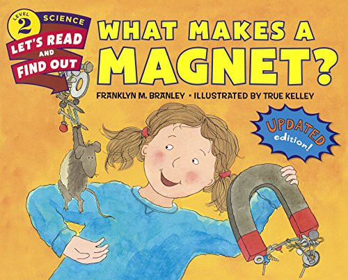 Cover for What Makes A Magnet?