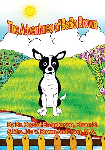 Cover for Adventures of Bebo Brown