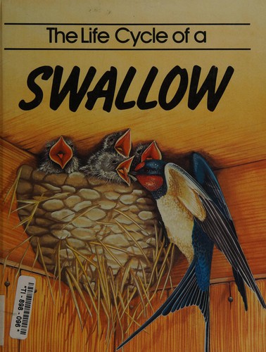 Cover for The life cycle of a swallow
