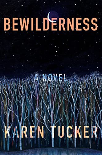 Cover for Bewilderness