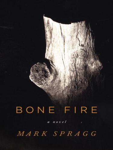 Cover for Bone Fire
