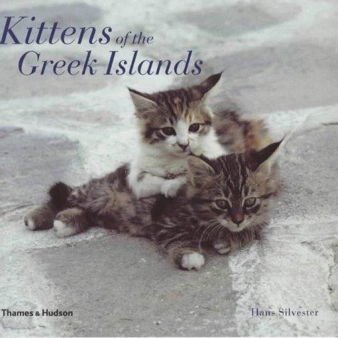 Cover for Kittens in the Sun