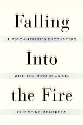 Cover for Falling Into the Fire