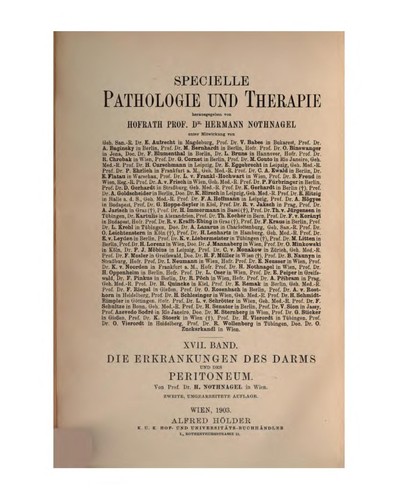 Cover for Die Erkrankungen des Darms und des Peritoneum