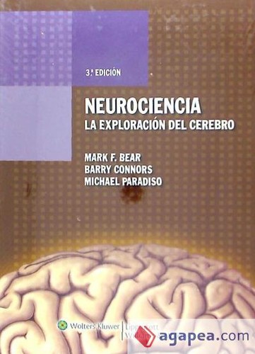 Cover for Neurociencia : la exploracion del cerebro - 3. ed.