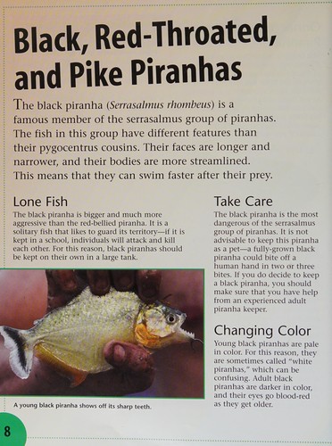 Cover for Piranhas