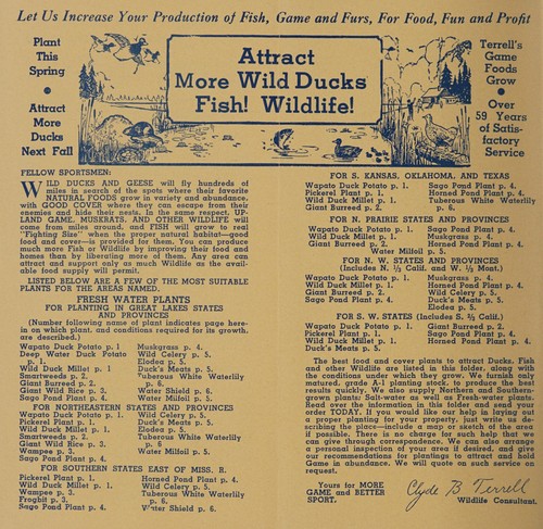 Cover for How to attract wild ducks, and fish