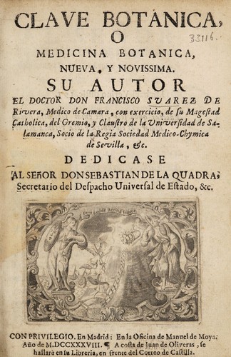 Cover for Clave botanica, o, Medicina botanica, nueva, y novissima