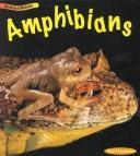 Cover for Amphibians (Animal Babies)