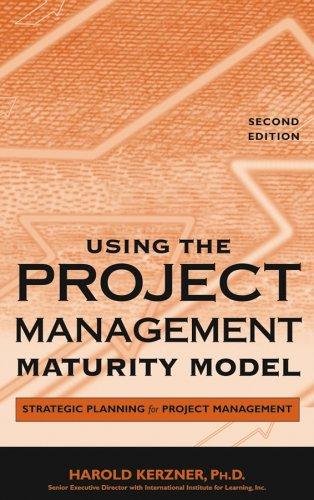 Cover for Using the Project Management Maturity Model