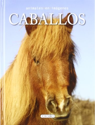 Cover for Caballos