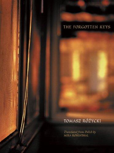 Cover for The Forgotten Keys (New Polish Writing)