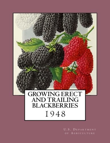 Cover for Growing Erect and Trailing Blackberries