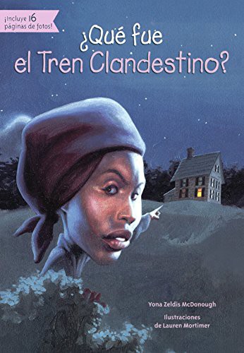 Cover for Que Fue El Tren Clandestino?
